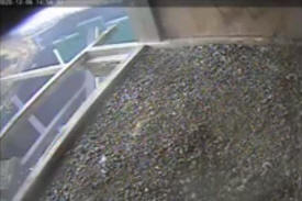 Web cam at the Boswell Energy Center near Cohasset&nbsp;Minnesota provide a closer look at the life of peregrine falcons, the fastest raptors on the planet